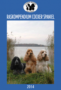 Raskompendium